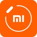 Mi Fit 4.6.0 APK