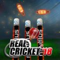 Real Cricket™ 20 APK