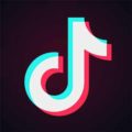 Tik Tok 2.6.1 APK