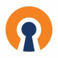 OpenVPN Connect 3.1.0 APK