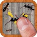 Ant Smasher APK